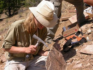 Paleontologist Career