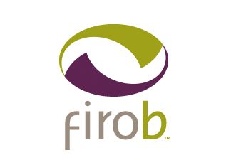 FIRO B Career Assessment iResearchNet
