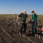 Soil Conservationist and Technician Career