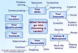 Career Factors Inventory
